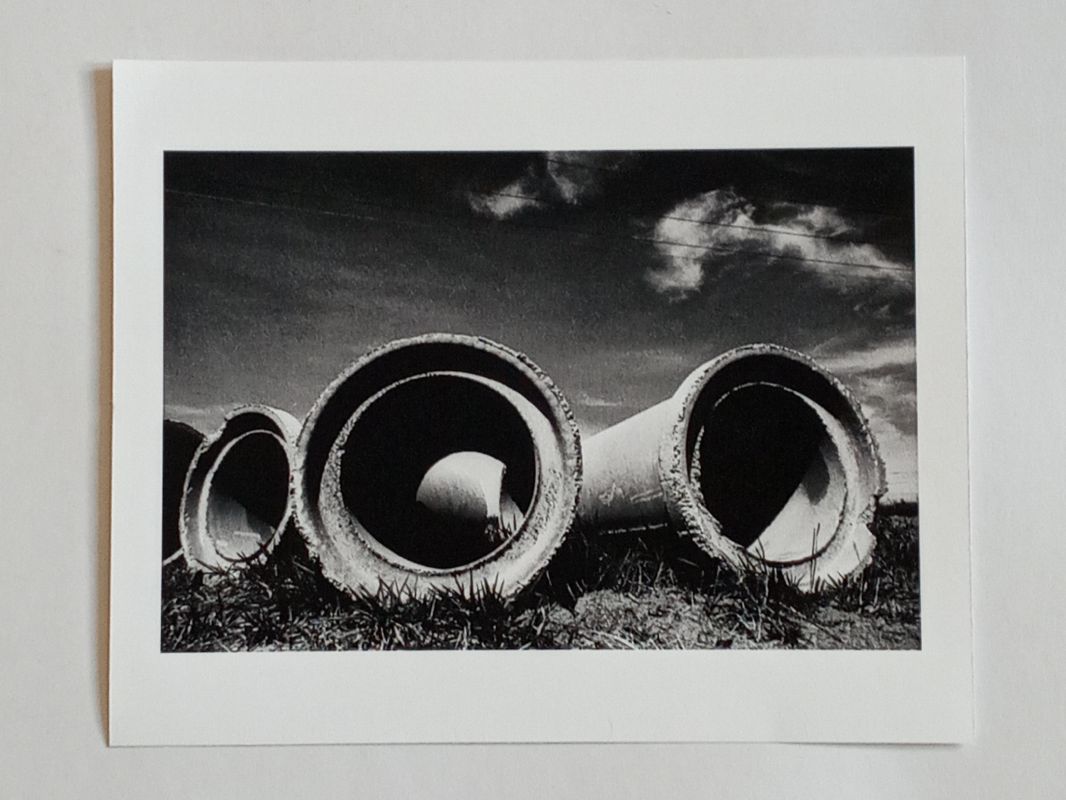 Walmir Monteiro - Fotógrafo