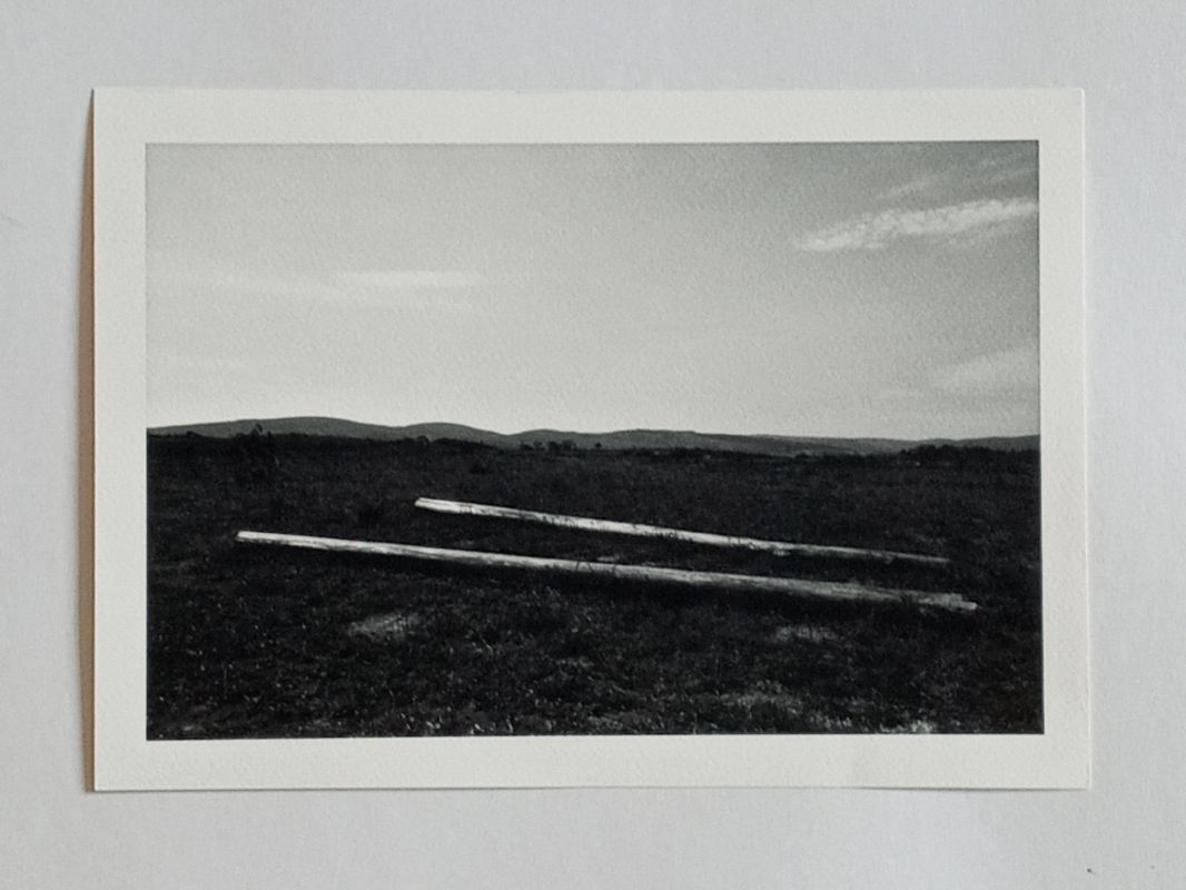 Walmir Monteiro - Fotógrafo